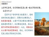 3.3 生态系统的物质循环 课件-【新教材】2021-2022学年高二生物选择性（2019）必修二