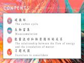 3.3 生态系统的物质循环 课件-【新教材】2021-2022学年高二生物选择性（2019）必修二