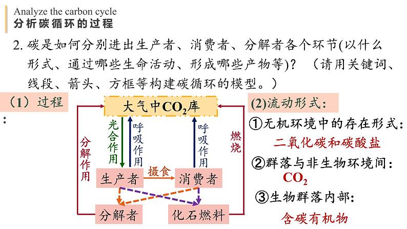 3.3 生态系统的物质循环 课件-【新教材】2021-2022学年高二生物选择性（2019）必修二第8页