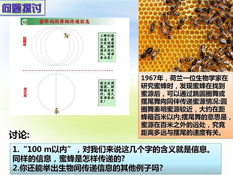 3.4 生态系统的信息传递 课件-2021-2022学年高中生物人教版（2019）选择性必修2第2页