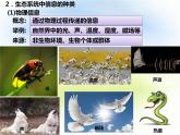 3.4 生态系统的信息传递 课件-2021-2022学年高中生物人教版（2019）选择性必修2
