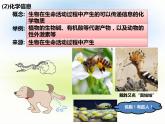 3.4 生态系统的信息传递 课件-2021-2022学年高中生物人教版（2019）选择性必修2