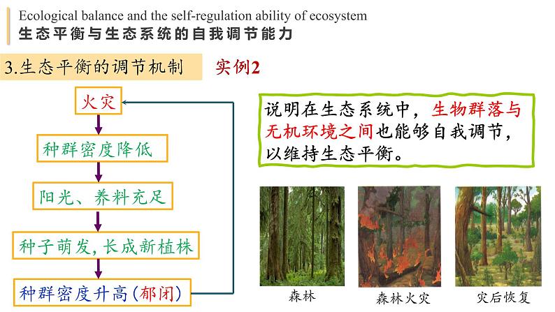 3.5 生态系统的稳定性 课件-【新教材】2021-2022学年高二生物选择性（2019）必修二08