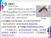 4.2 生物多样性及其保护 课件-【新教材】2021-2022学年高二生物选择性（2019）必修二