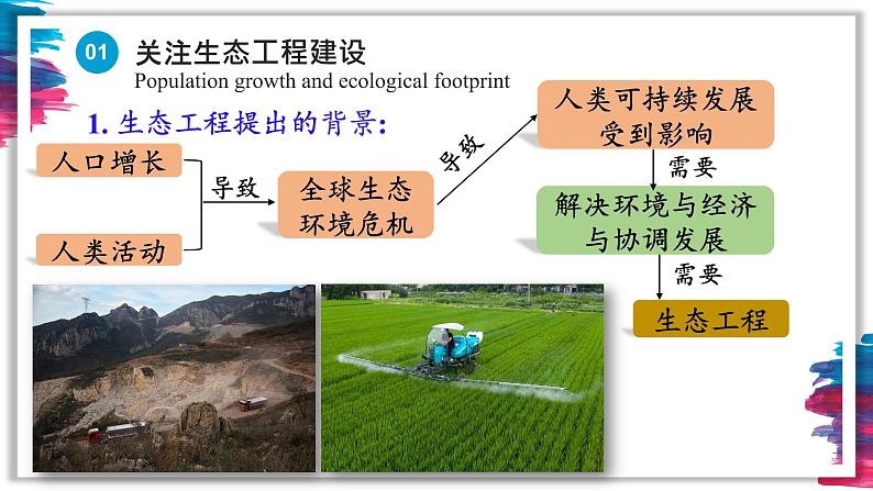 4.3.1 生态工程的基本原理课件2021-2022学年高二上学期生物人教版选择性必修2第7页