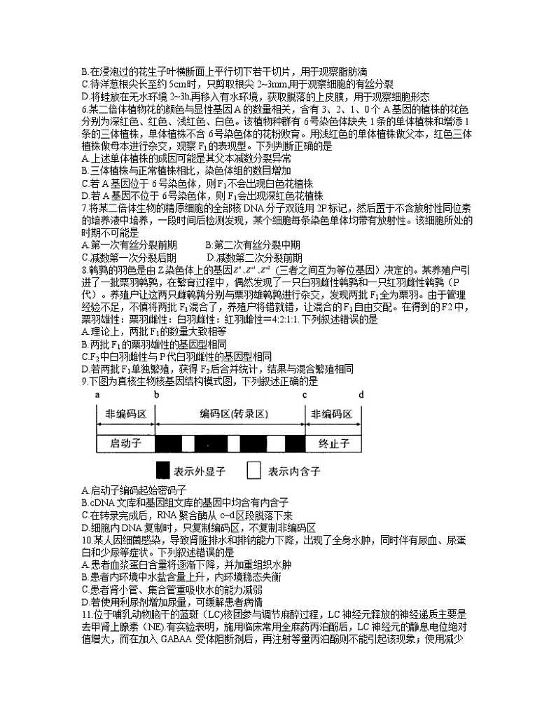 湖北省武汉市2021-2022学年高三下学期2月调研考试生物无答案02
