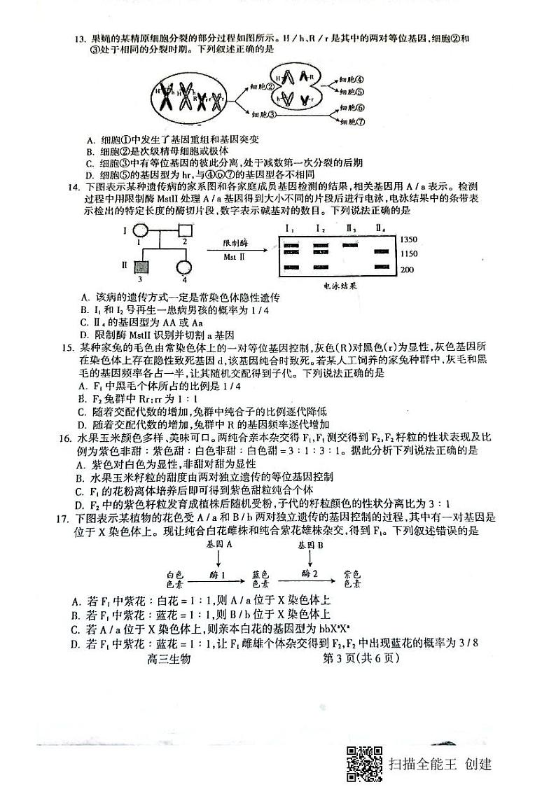 山西省吕梁市2021-2022学年度高三年级第一次模拟考试生物试题第3页