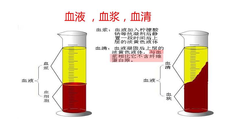 第1讲 细胞生活的环境-备战高考生物一轮复习优质精讲课件（人教版必修3）第5页