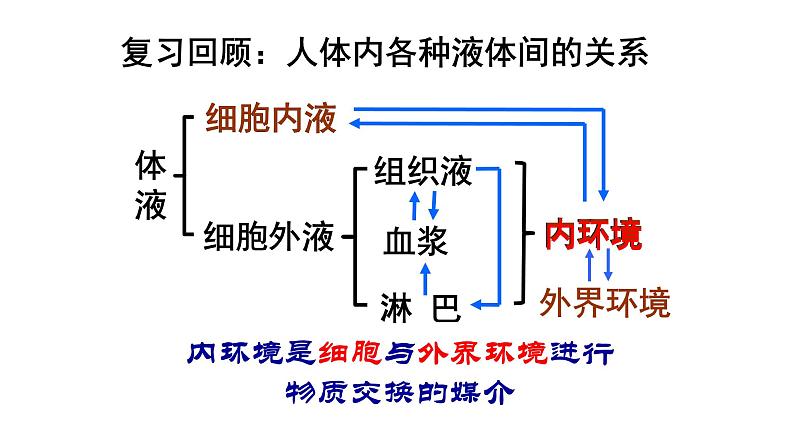 第2讲 内环境稳态的重要性-备战高考生物一轮复习优质精讲课件（人教版必修3）第2页