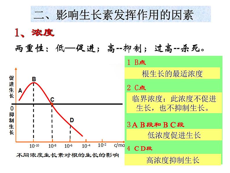 第8讲 生长素的生理作用-备战高考生物一轮复习优质精讲课件（人教版必修3）第3页