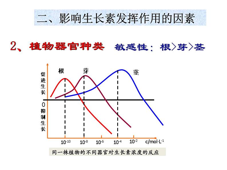 第8讲 生长素的生理作用-备战高考生物一轮复习优质精讲课件（人教版必修3）第8页