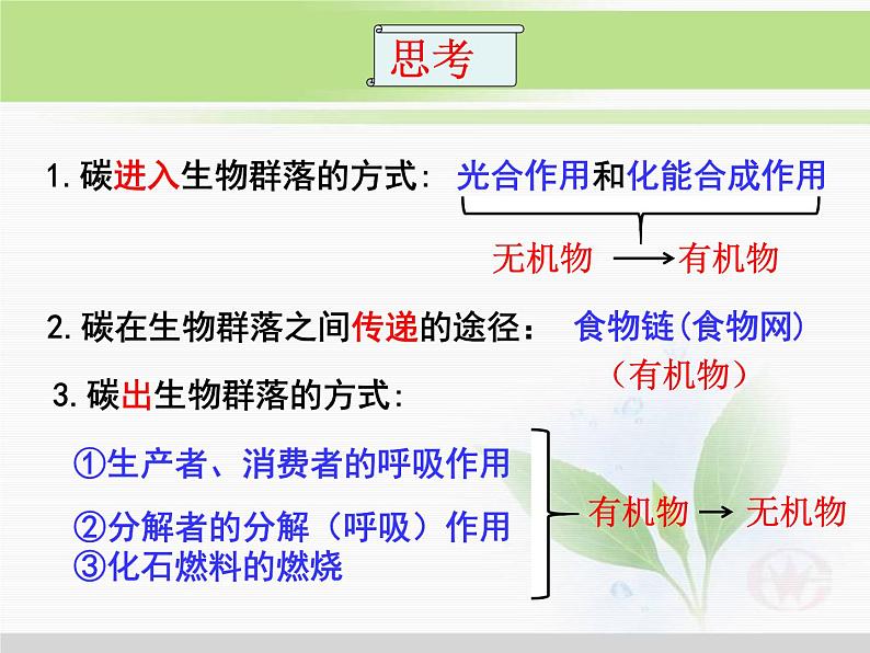 第14讲 生态系统的物质循环-备战高考生物一轮复习优质精讲课件（人教版必修3）第5页