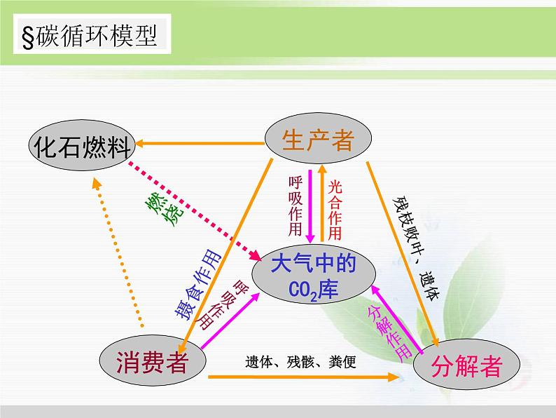 第14讲 生态系统的物质循环-备战高考生物一轮复习优质精讲课件（人教版必修3）第8页