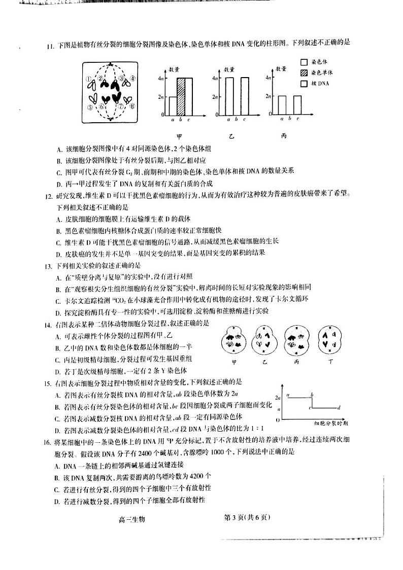 2021届山西省吕梁市高三上学期第一次模拟考试生物试题 PDF版03