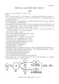 2021届广东省梅州市高三下学期3月总复习质检生物试题 PDF版