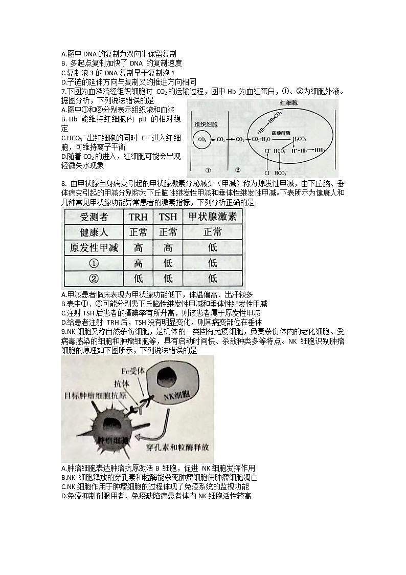山东省淄博市高三2021-2022学年高三模拟考试（一模）生物试题含答案第2页