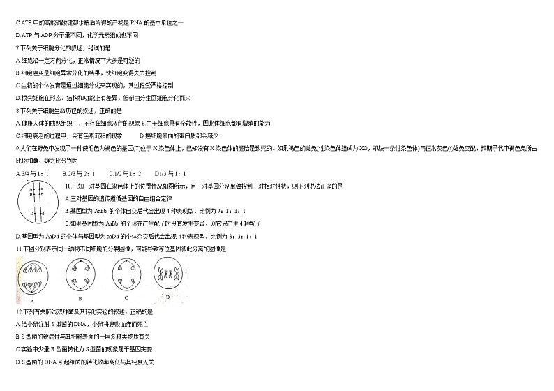 新疆师范大学附属中学2022届高三上学期一模仿真训练（三）生物试题含答案第2页