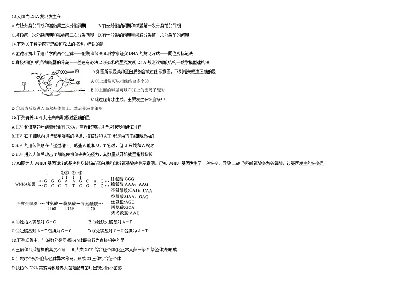 新疆师范大学附属中学2022届高三上学期一模仿真训练（三）生物试题含答案第3页