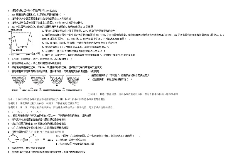 新疆师范大学附属中学2022届高三上学期一模仿真训练（四）生物试题含答案第2页