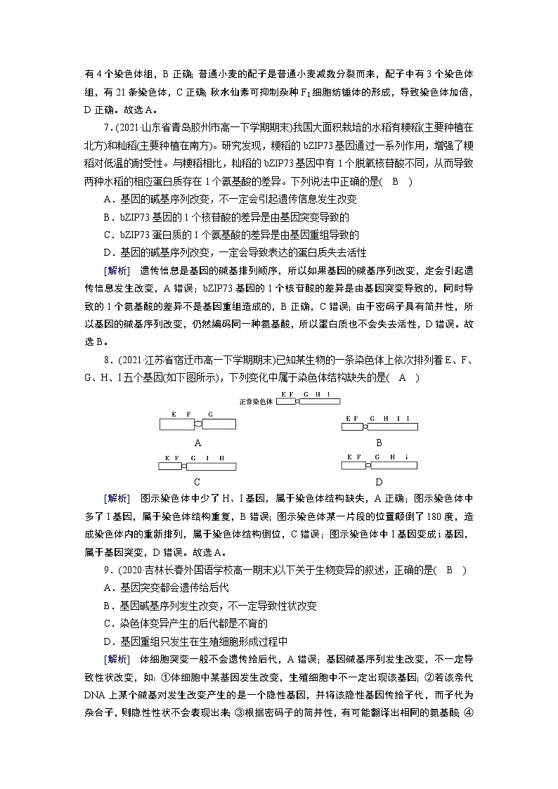 人教版 生物 必修2 第5章章末检测 试卷03