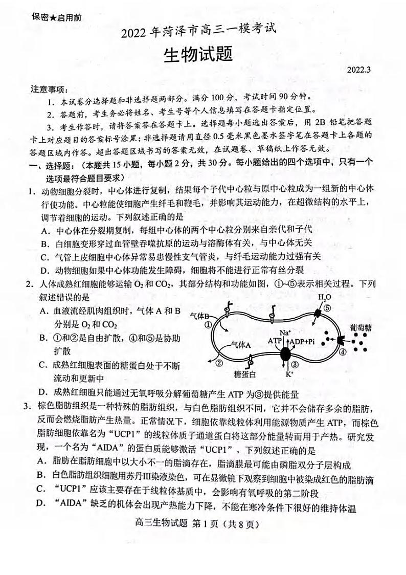 山东省菏泽市2022届高三一模生物试题无答案01
