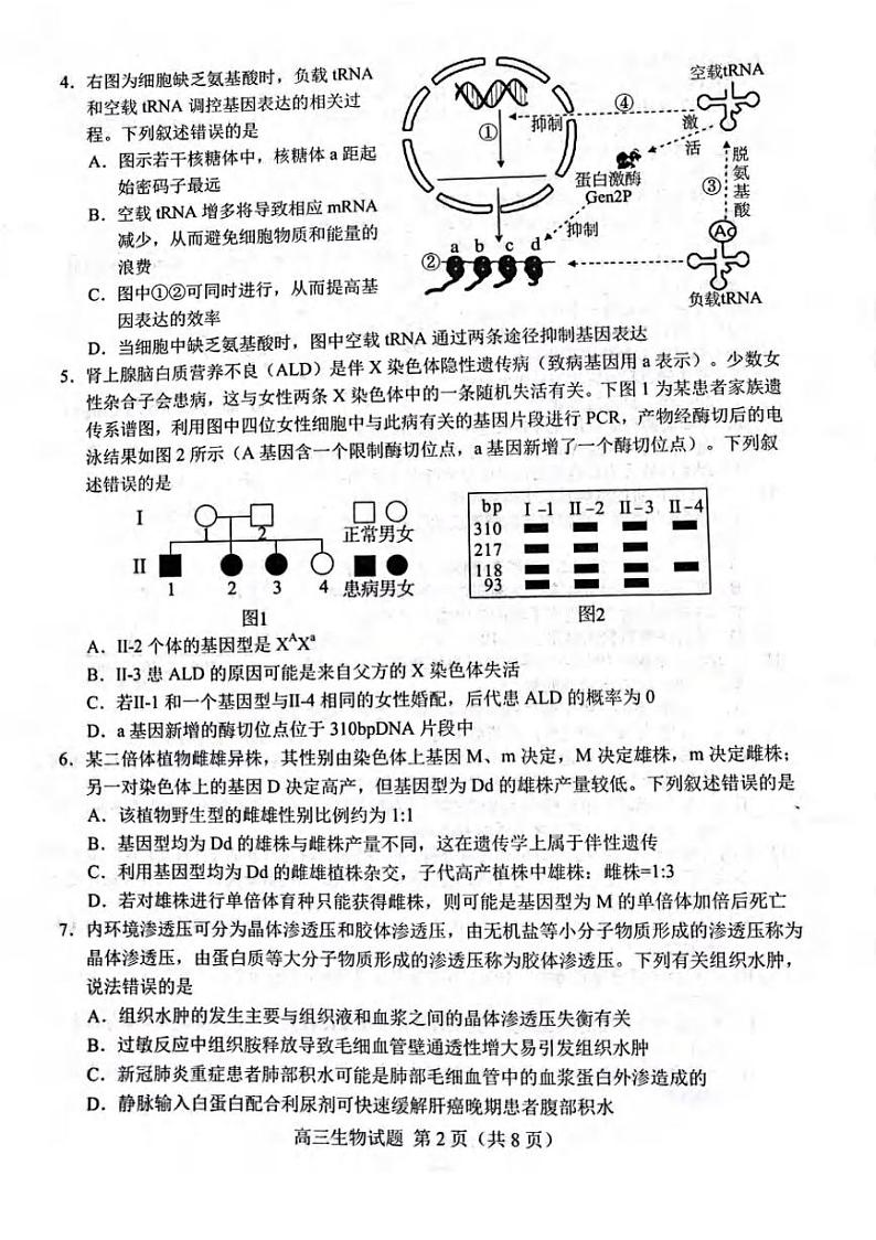 山东省菏泽市2022届高三一模生物试题无答案02