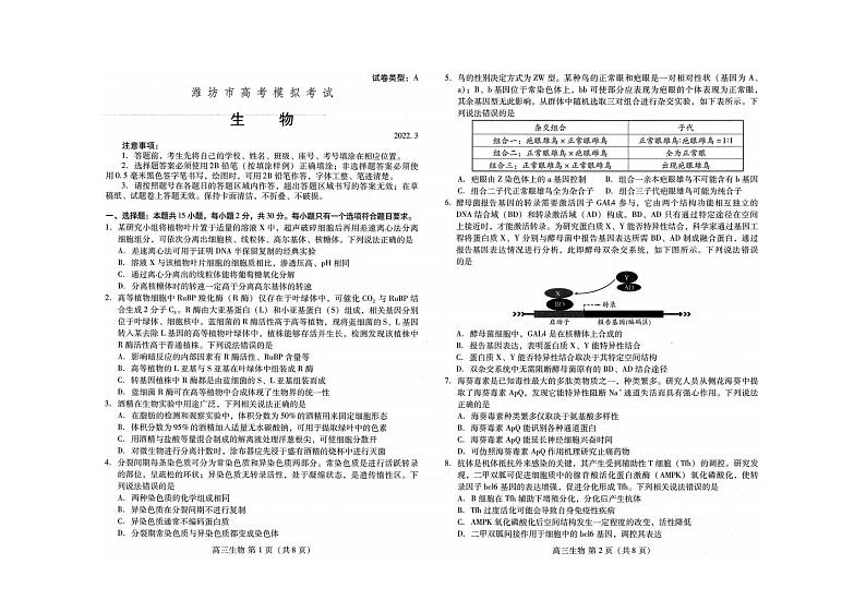 山东省潍坊市2022届高三一模统考（3月）生物试题含答案第1页