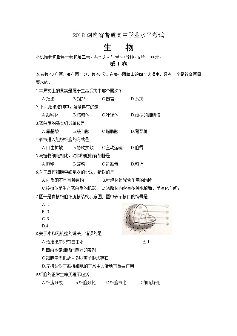 2018湖南省普通高中学业水平考试生物试卷第1页