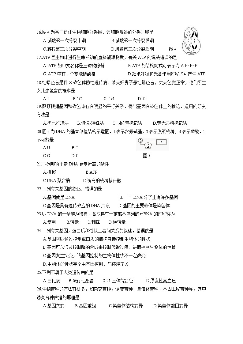 2018湖南省普通高中学业水平考试生物试卷第3页