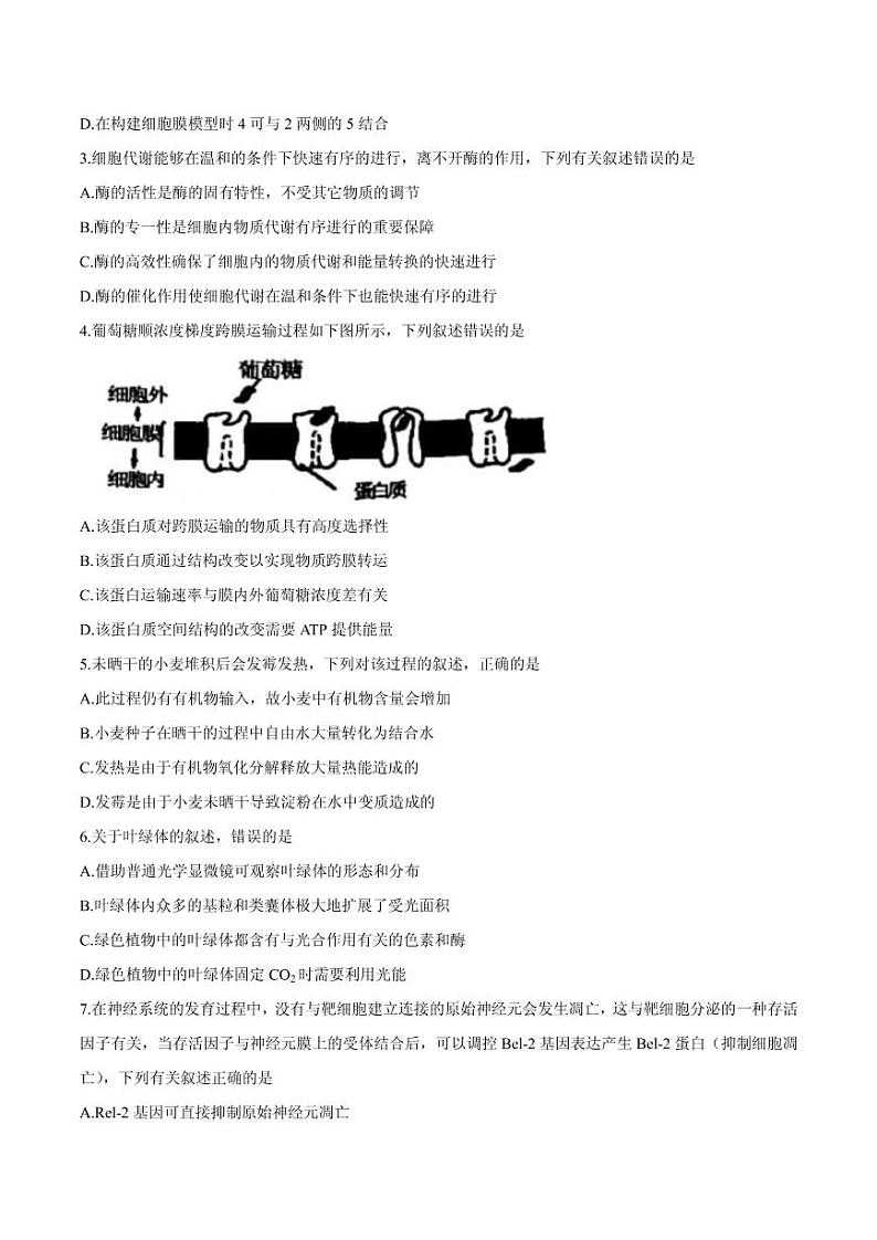2021届安徽省合肥市高三上学期第一次教学质量检测生物试题 PDF版02