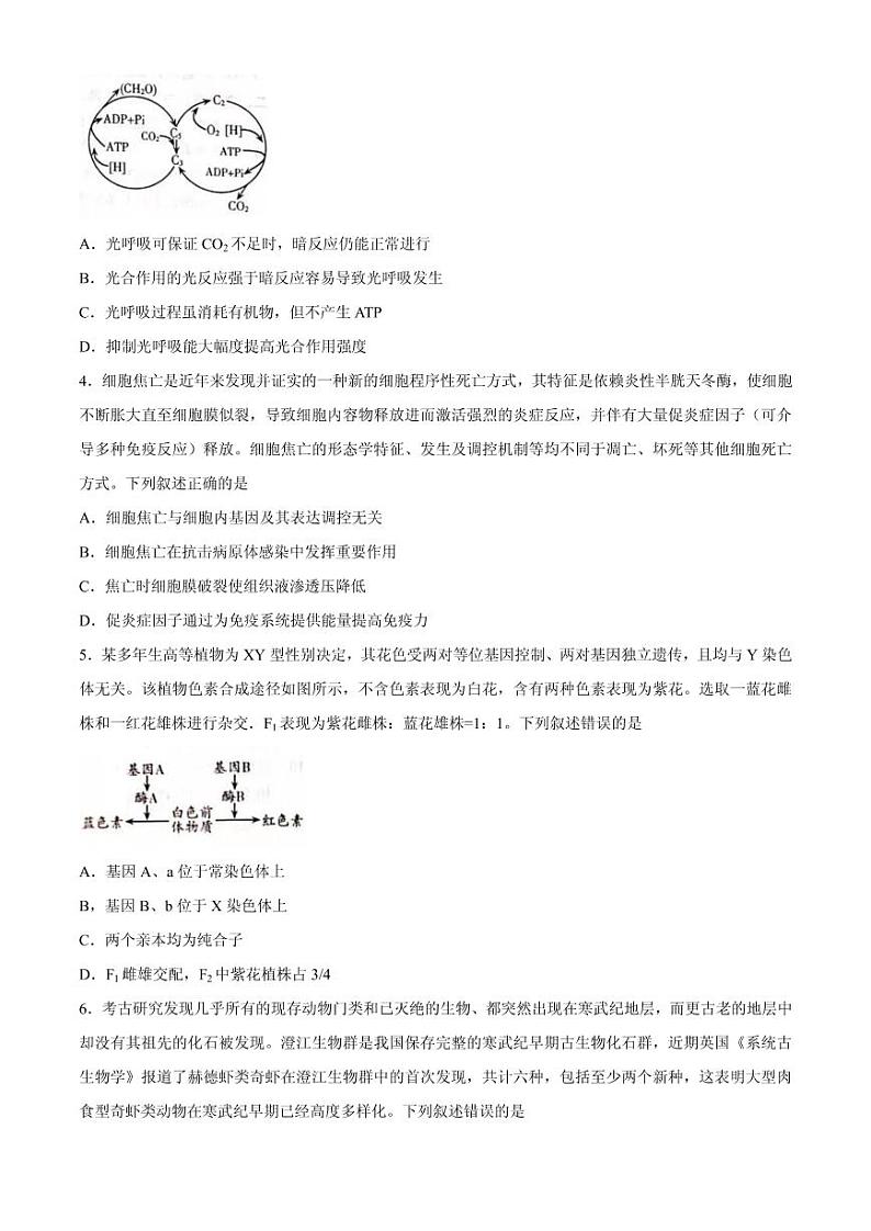 2021届山东省潍坊市高三下学期3月一模考试生物试题 PDF版第2页