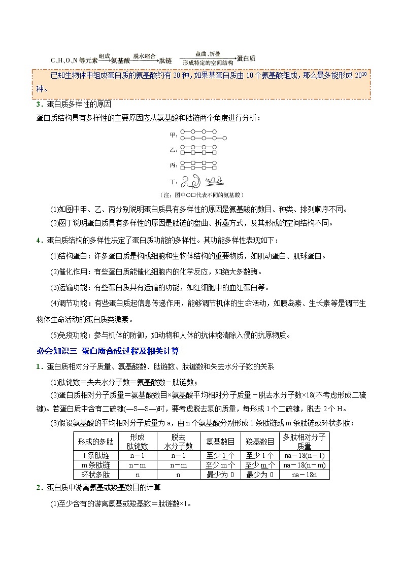 01 第1讲 生命活动的主要承担者——蛋白质-备战2022年高考生物二轮复习三板斧之三——生物计算(原卷版) 第2页