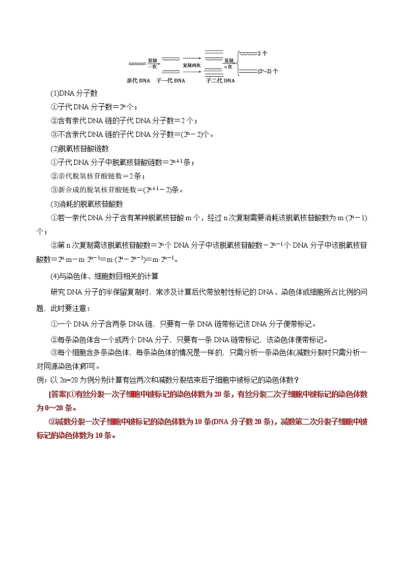 09 第9讲 DNA复制与细胞分裂相关计算-备战2022年高考生物二轮复习三板斧之三——生物计算 试卷03