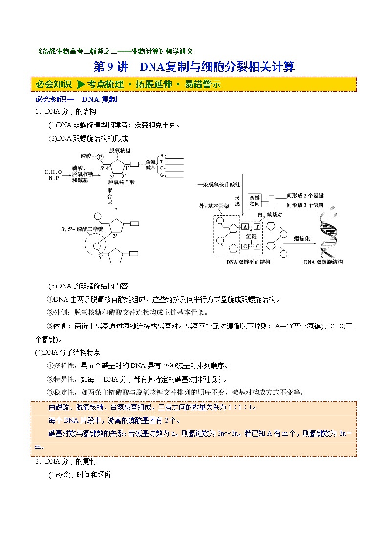09 第9讲 DNA复制与细胞分裂相关计算-备战2022年高考生物二轮复习三板斧之三——生物计算 试卷01