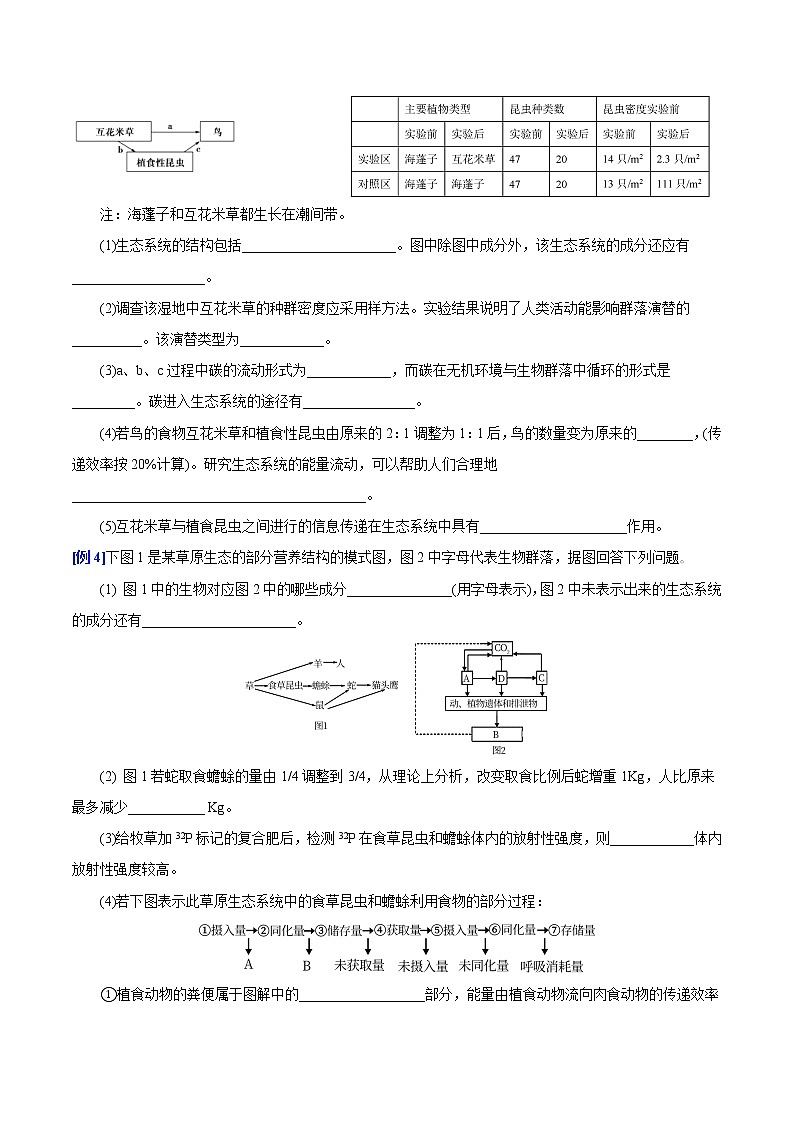 10 第10讲 生态系统的能量流动-备战2022年高考生物二轮复习三板斧之三——生物计算(原卷版)第3页