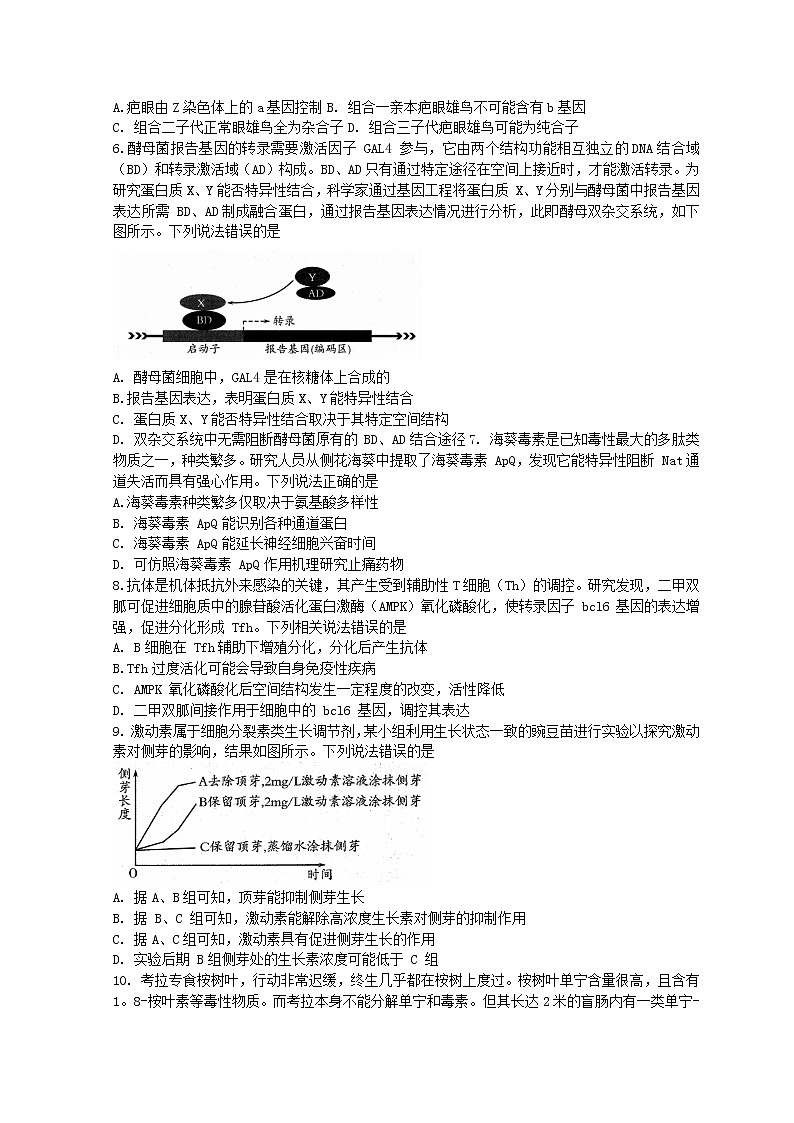 山东省潍坊市2022届高三下学期3月一模考试生物试题含答案第2页