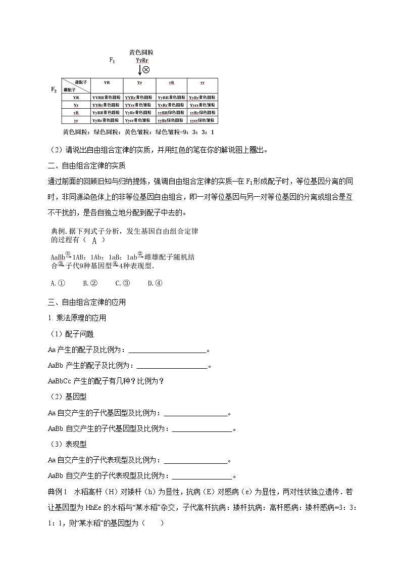 1.2.2 孟德尔从两对相对性状的杂交实验中总结出自由组合定律 教学设计-浙科版高中生物必修2遗传与进化第2页