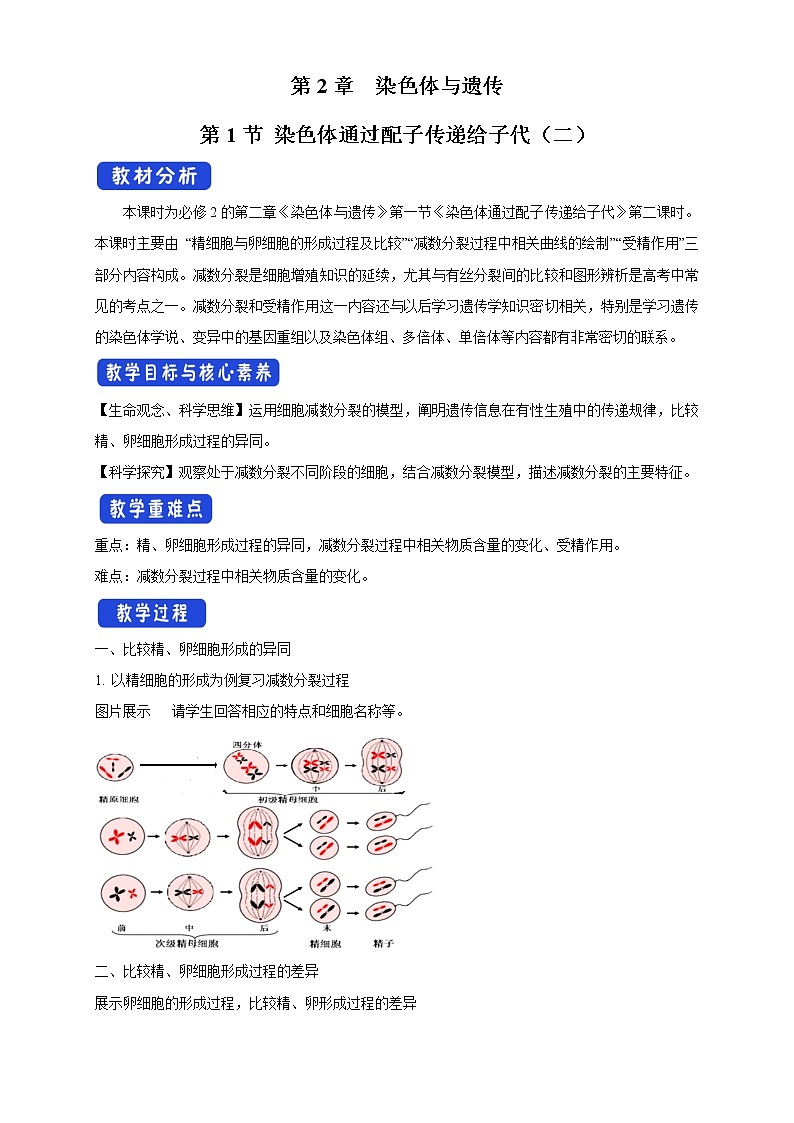 2.1.2 染色体通过配子传递给子代 教学设计-浙科版高中生物必修2遗传与进化第1页