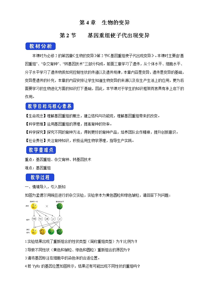 4.2 基因重组使子代出现变异 教学设计-浙科版高中生物必修2遗传与进化01
