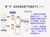 2.1.1 染色体通过配子传递给子代 课件-浙科版高中生物必修2遗传与进化(共12张PPT)