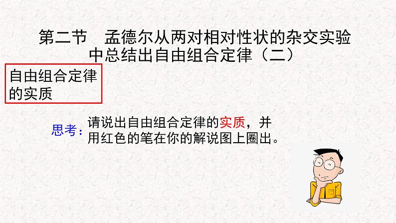 1.2.2 孟德尔从两对相对性状的杂交实验中总结出自由组合定律 课件-浙科版高中生物必修2遗传与进化(共17张PPT)03