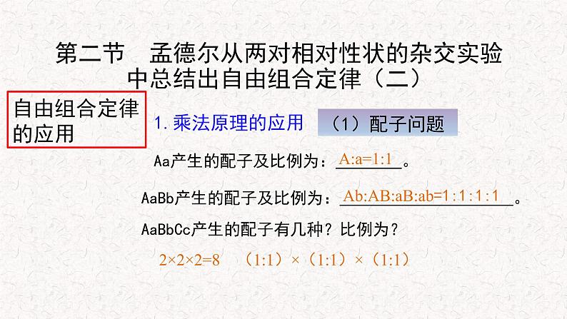 1.2.2 孟德尔从两对相对性状的杂交实验中总结出自由组合定律 课件-浙科版高中生物必修2遗传与进化(共17张PPT)05