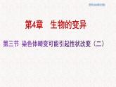 4.3.2 染色体畸变可能引起性状改变 课件-浙科版高中生物必修2遗传与进化(共16张PPT)