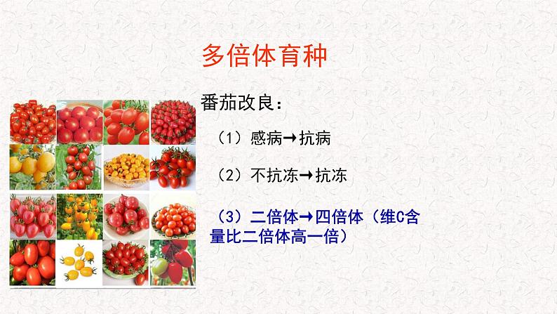 4.3.2 染色体畸变可能引起性状改变 课件-浙科版高中生物必修2遗传与进化(共16张PPT)05