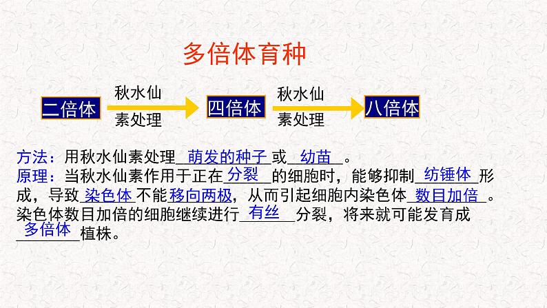 4.3.2 染色体畸变可能引起性状改变 课件-浙科版高中生物必修2遗传与进化(共16张PPT)06