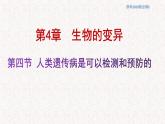 4.4 人类遗传病是可以检测和预防的 课件-浙科版高中生物必修2遗传与进化(共17张PPT)