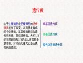 4.4 人類遺傳病是可以檢測和預(yù)防的 課件-浙科版高中生物必修2遺傳與進(jìn)化(共17張PPT)