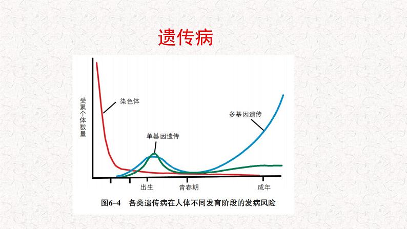 4.4 人类遗传病是可以检测和预防的 课件-浙科版高中生物必修2遗传与进化(共17张PPT)08