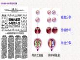 3.5 生物体存在表观遗传现象 课件-浙科版高中生物必修2遗传与进化(共17张PPT)