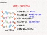 3.2 遗传信息编码在DNA分子上 课件-浙科版高中生物必修2遗传与进化(共14张PPT)